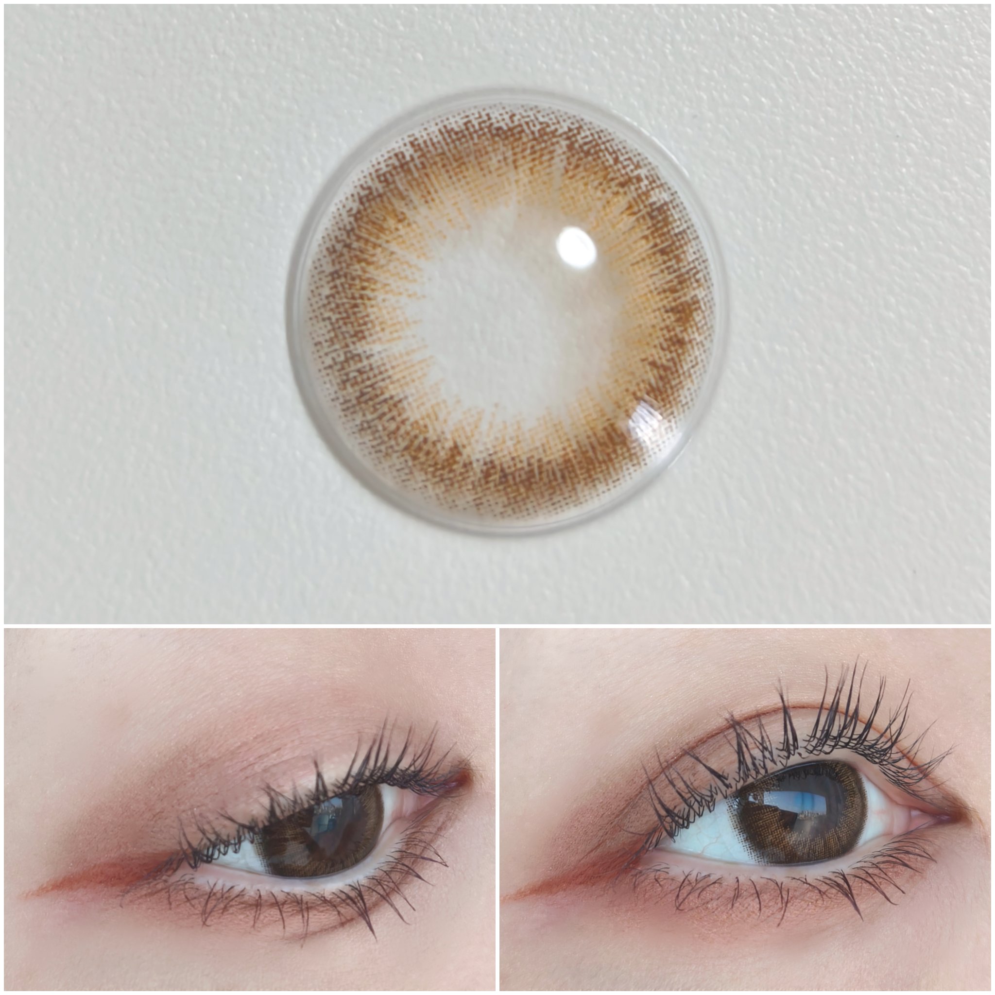 Salamanque <BROWN> 1 month