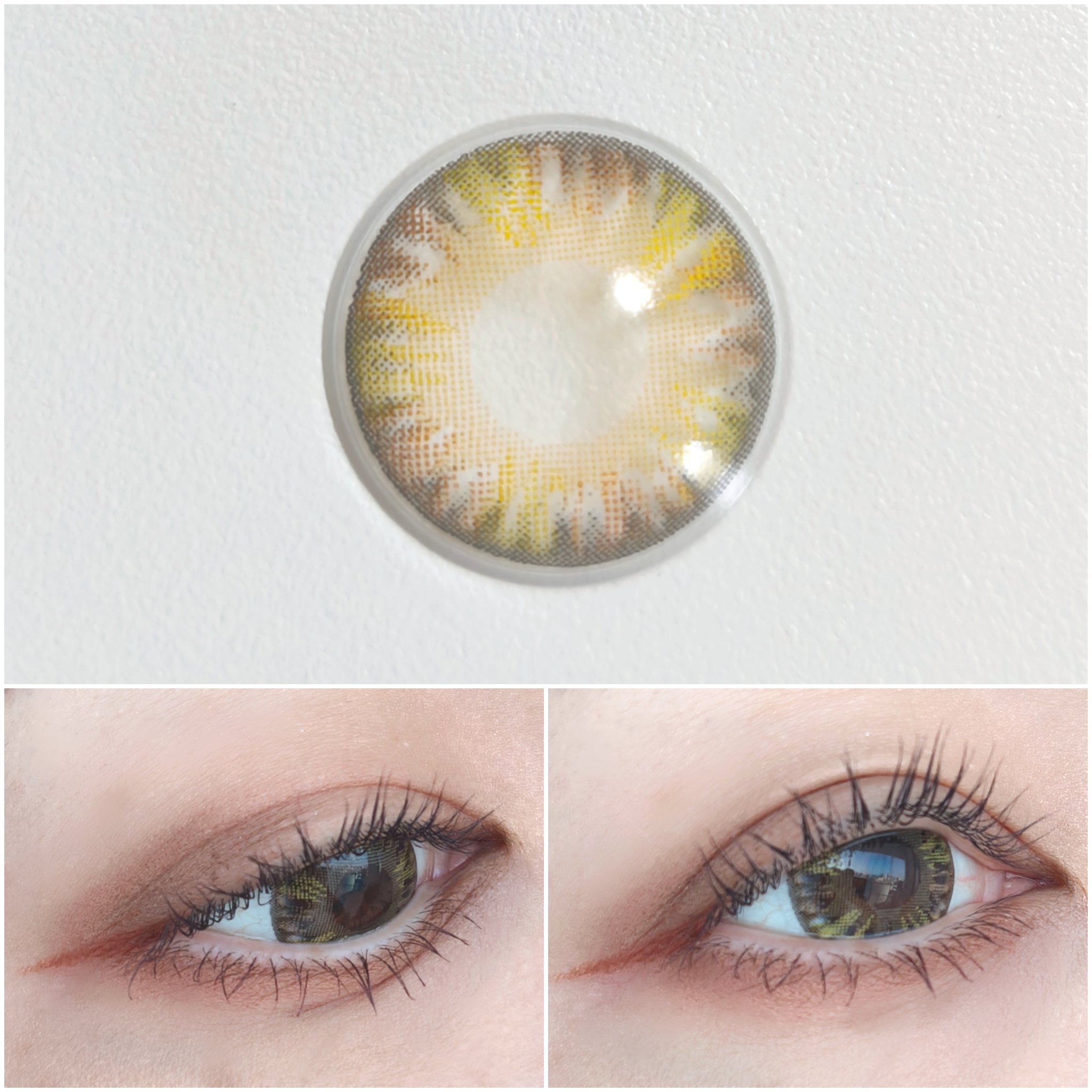 Super World4 16mm <BROWN> 6Month