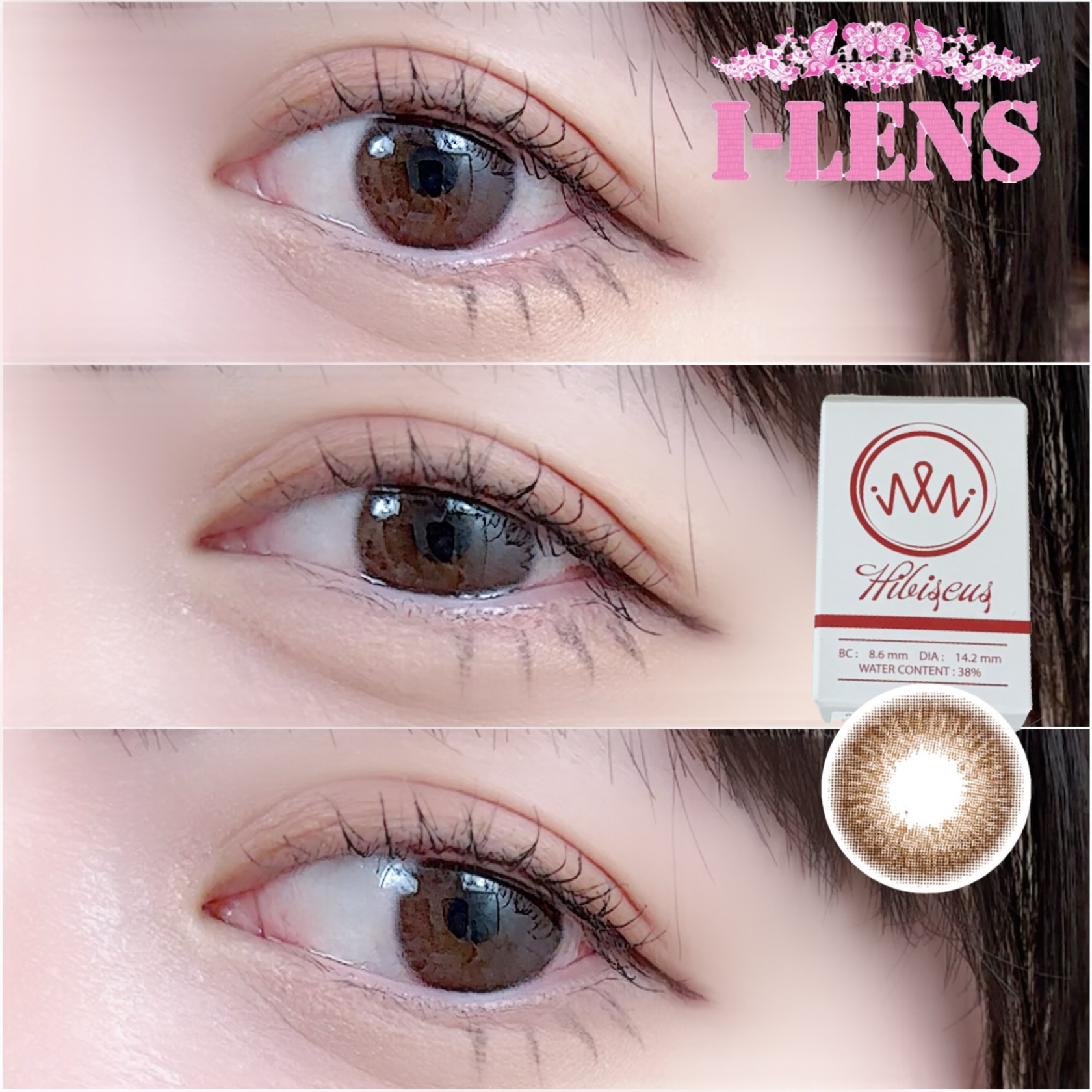  Iwwi Hibiscus Brown (1-Month)