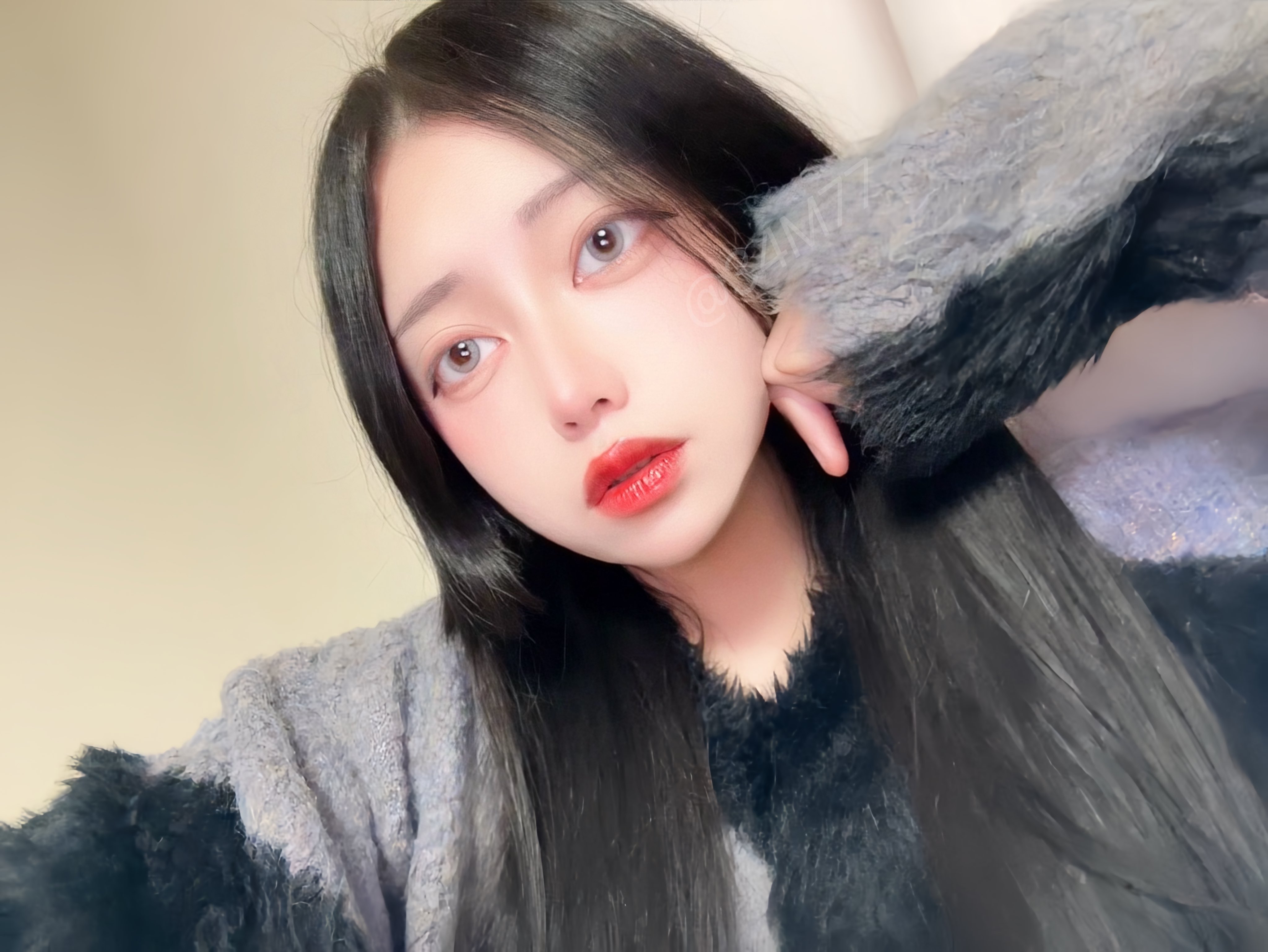 Torica / Flexfit White Gray / DIA 14.0mm