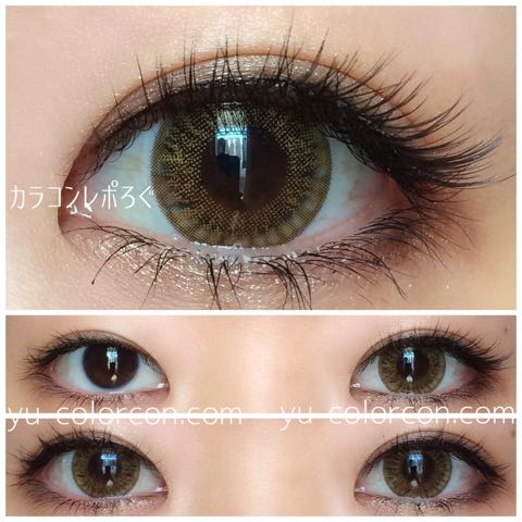 Super World4 16mm <BROWN> 6Month