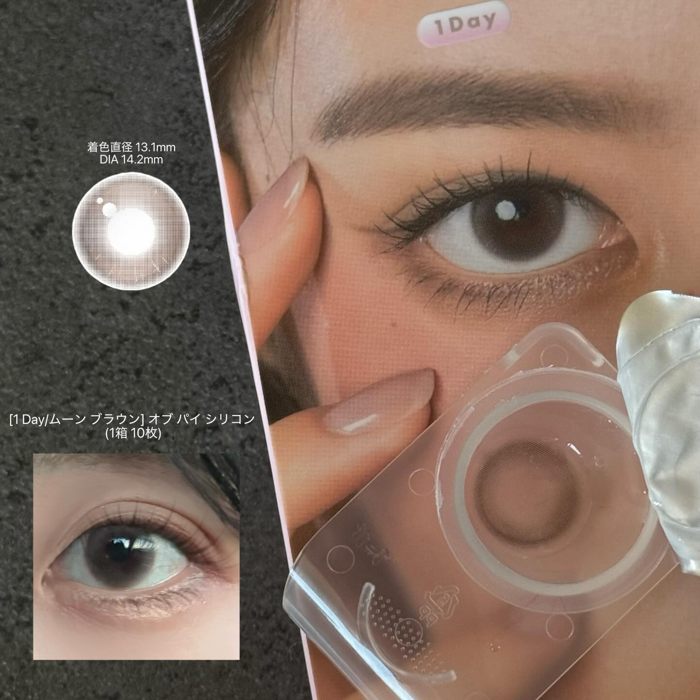 [1 Day/Moon Brown] Aube Pie Silicone (1 box / 10 lenses)